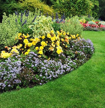 Banner Content Image: https://www.ctsgardensupplies.co.uk/images/banner/source/Fertilisers-colour.6z80l3PlH6.jpg?t=1789136466