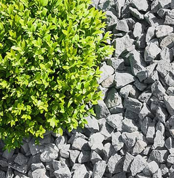 Banner Content Image: https://www.ctsgardensupplies.co.uk/images/banner/source/Ground%20Cover-colour.O03qCEBmAr.jpg?t=1789136466