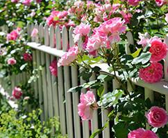 Banner Content Image: https://www.ctsgardensupplies.co.uk/images/banner/source/June.WlhqxqinO4.jpg?t=1789136466