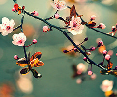 Banner Content Image: https://www.ctsgardensupplies.co.uk/images/banner/source/March.8hPVO56f3k.jpg?t=1789136466