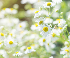 Banner Content Image: https://www.ctsgardensupplies.co.uk/images/banner/source/May.5T6D3m0Oqa.jpg?t=1789136466