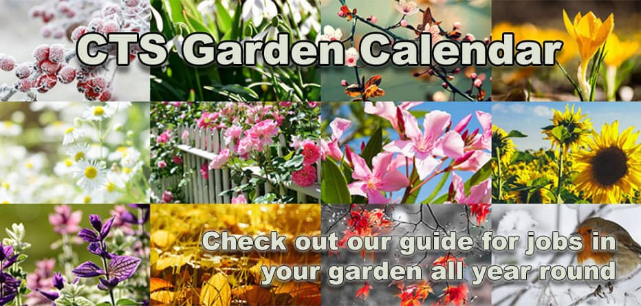 Banner Content Image: https://www.ctsgardensupplies.co.uk/images/banner/source/homepage-garden-calendar-text.Xt87jZ2Kmr.jpg?t=1618322683