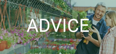 Colleague offering advice about gardening
