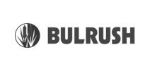 Bulrush