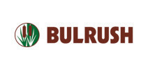 Bulrush