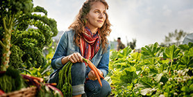 Farmer with carrots