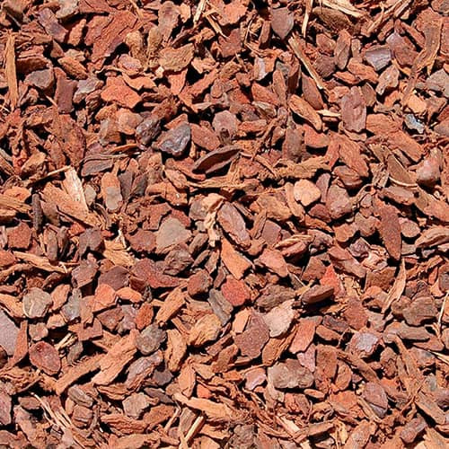 Bark