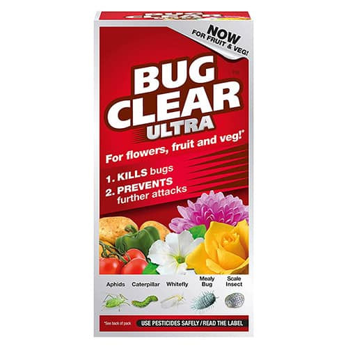 Bugs