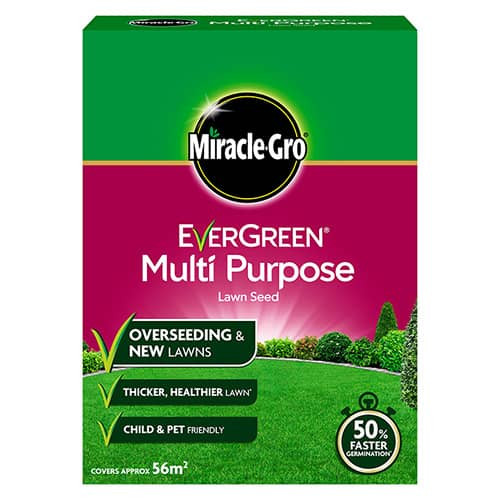 Grass Seed