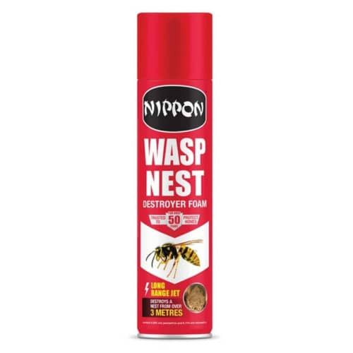 Wasps