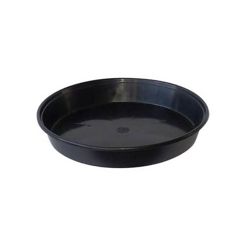 Saucers