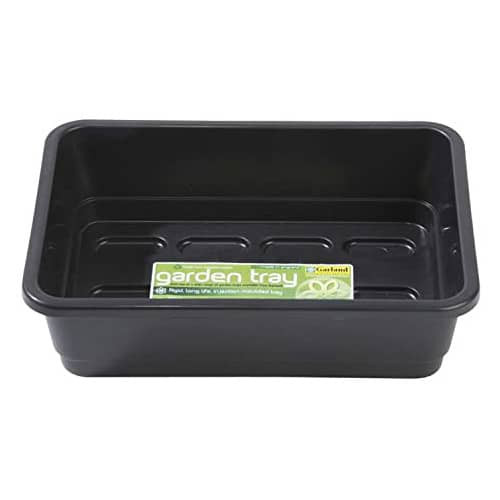Trays