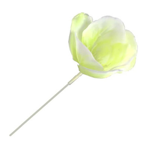 7 Inch Old Fashioned White Roses - Box of 100