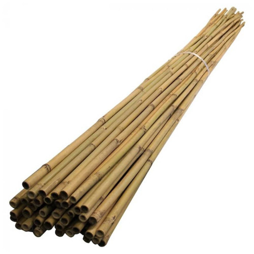 8ft Bamboo Canes - Bundle of 125