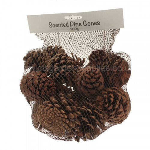 Cinnamon Scented Pine Cones - 500g