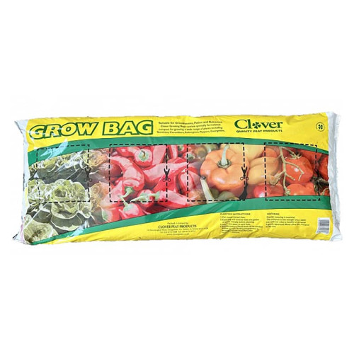 Clover Grow Bag (4 Plant)