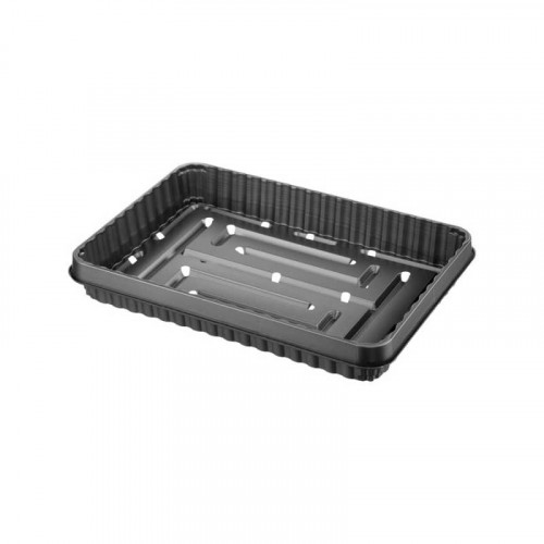 CST Standard Seed Tray 28cm x 40cm x 6.2cm - 6L