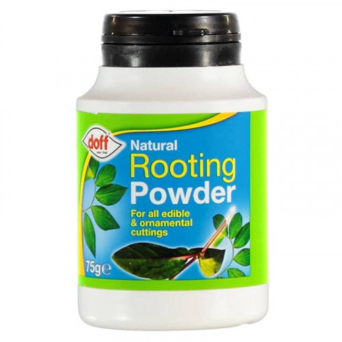Doff Natural Hormone Rooting Powder - 75g