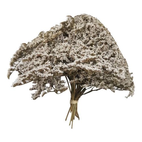 Dried White Statice Flowers - 2kg