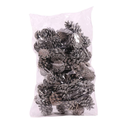 Frosted Pine Cones - 1kg
