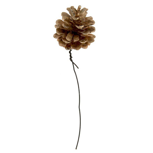 Gold Austriaca Pine Cones on Wire - Box of 150