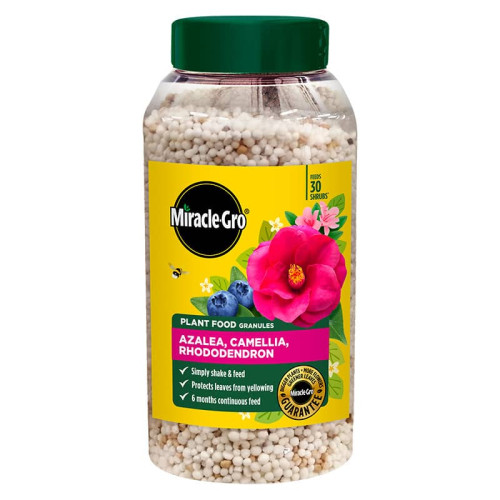 Miracle Gro Azalea, Camellia & Rhododendron Continuous Release Jar - 900g