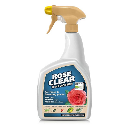 Rose Clear 3 in 1 Ready to Use - 800ml