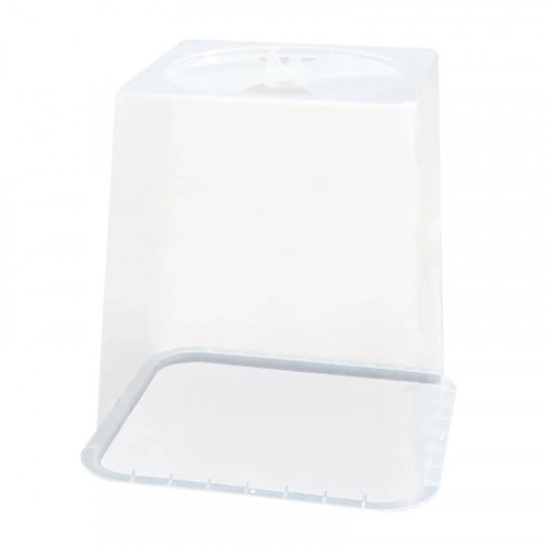 Square Clear Cloche Cover 25cm