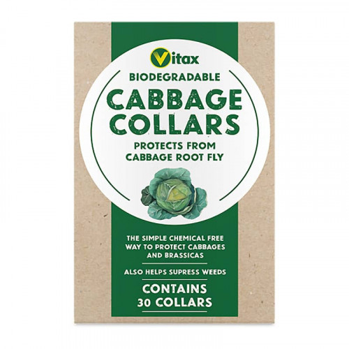 Vitax Biodegradable Cabbage Collars - 30 Pack