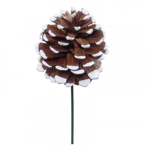 White Edge Pine Cones on Wire - Box of 150