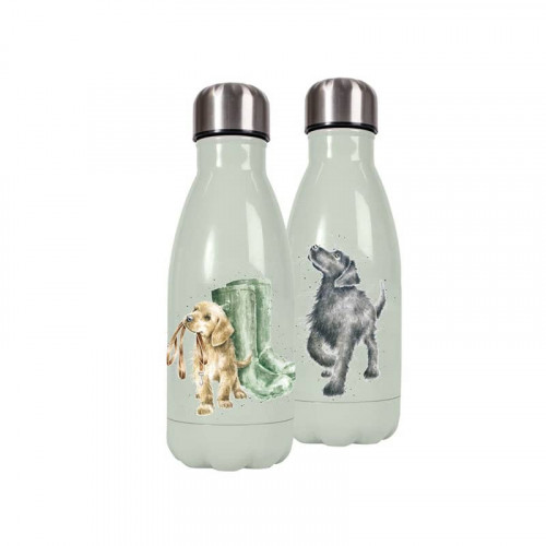 Wrendale Designs Hopeful Small Labrador Water Bottle 260ml - Light Green