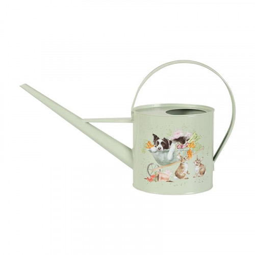 Wrendale Designs Sleeping On The Job Border Collie Indoor Watering Can - Light Green