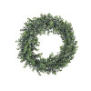 40cm Frosted Eucalyptus Wreath
