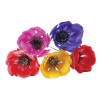 Assorted Coloured Plastic Anemone - Box of 100