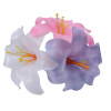 Assorted Coloured Plastic Harissi Lilies - Box of 100