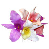 Assorted Coloured Plastic Orchids - Box of 100