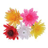 Assorted Coloured Plastic Romance Mum - Box of 100