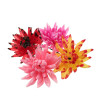 Assorted Coloured Plastic Spike Dahlia - Box of 100