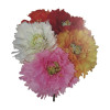 Assorted Coloured Plastic Rose of Sharon - Box of 100