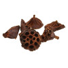 Dried Small Lotus Heads 4-6cm - Pack of 30