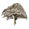 Dried White Statice Flowers - 2kg
