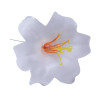 Large White Plastic Harissi Lilies - Box of 100