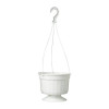 Soparco 16cm Pop White Hanging Basket - 1.5L (Box of 120 baskets)