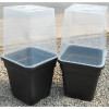 Square Clear Cloche Cover 25cm