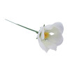 White Plastic Hellebores Roses - Box of 100
