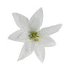 White Silk Poinsettia Flower - Bag of 100