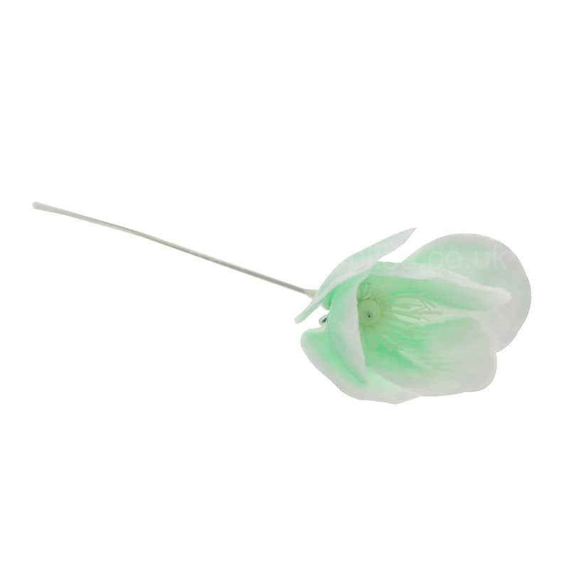 Withe Plastic Roses 7 Inch Old Fashioned White Plastic Roses - Box of 100